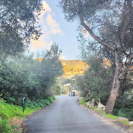 Le Mas D'Angeline, Vue Mer, Jardin Commun, Parking, Voiture Requise, 10 Min En Voiture De Monaco, Route Etroite, Pente Raide, Croisement Limite, Sea View, Shared Garden, Parking, Car Required, 10 Min Drive From Monaco, Narrow Steep Road, Limited Pass Босолей Экстерьер фото