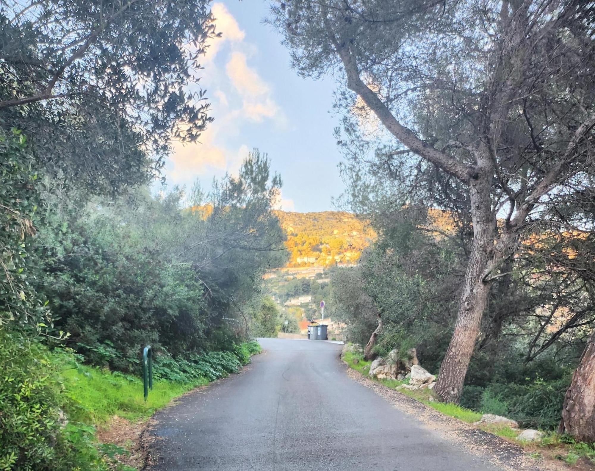 Le Mas D'Angeline, Vue Mer, Jardin Commun, Parking, Voiture Requise, 10 Min En Voiture De Monaco, Route Etroite, Pente Raide, Croisement Limite, Sea View, Shared Garden, Parking, Car Required, 10 Min Drive From Monaco, Narrow Steep Road, Limited Pass Босолей Экстерьер фото