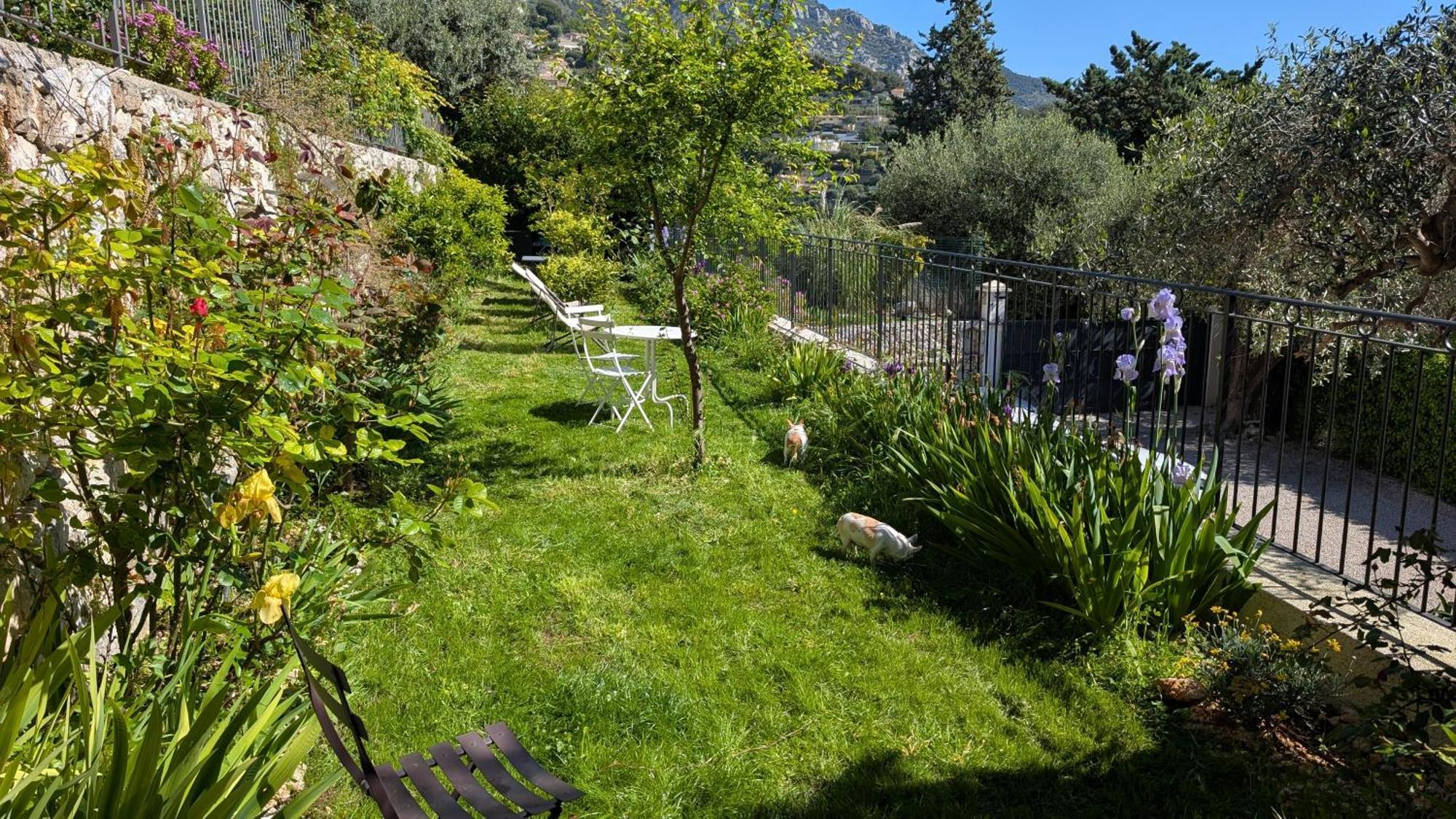 Le Mas D'Angeline, Vue Mer, Jardin Commun, Parking, Voiture Requise, 10 Min En Voiture De Monaco, Route Etroite, Pente Raide, Croisement Limite, Sea View, Shared Garden, Parking, Car Required, 10 Min Drive From Monaco, Narrow Steep Road, Limited Pass Босолей Экстерьер фото